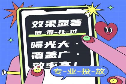 网络推广策略：竞价广告的实践案例